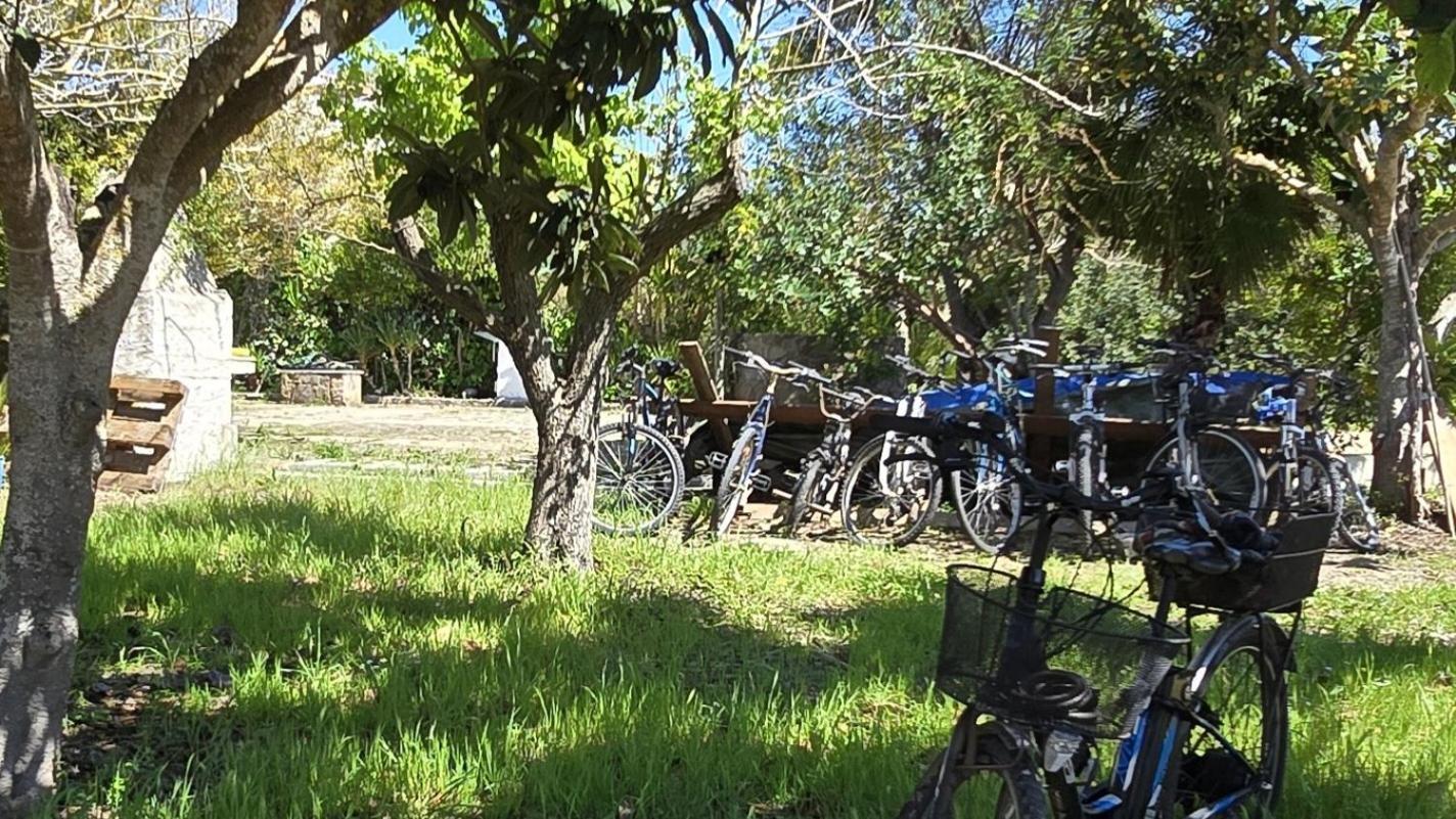Alghero In Bicicletta מראה חיצוני תמונה